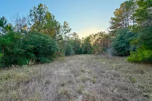 10662 Ruger Rd, Willis, TX 77378 - Photo 12