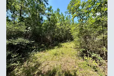 Tbd Lakeland Ranch Lot 290, Hillister, TX 77624 - Photo 12