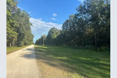 Tract 45, 46 Tx-61 Pr 117, Devers, TX 77538 - Photo 1