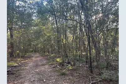 Tract 45, 46 Tx-61 Pr 117, Devers, TX 77538 - Photo 4