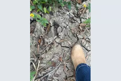 Tract 45, 46 Tx-61 Pr 117, Devers, TX 77538 - Photo 8