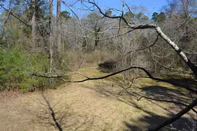 000 Central Drive, Coldspring, TX 77331 - Photo 32