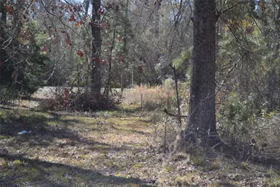 000 Central Drive, Coldspring, TX 77331 - Photo 36