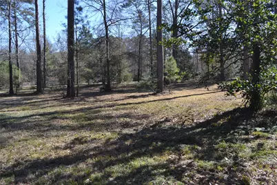 000 Central Drive, Coldspring, TX 77331 - Photo 12