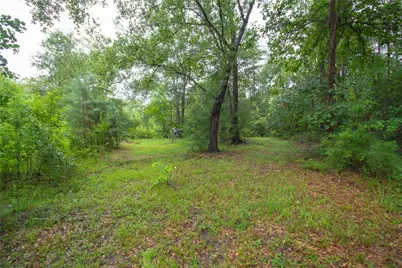 9613 Wingfield Drive, Lumberton, TX 77657 - Photo 8
