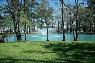 15919 Golf Club Dr, Crosby, TX 77532 - Photo 12