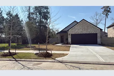 9848 Sweet Flag Ct, Conroe, TX 77385 - Photo 1