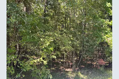00 Caney Creek, Huntsville, TX 77320 - Photo 1