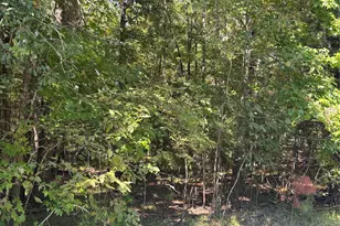 00 Caney Creek, Huntsville, TX 77320 - Photo 1