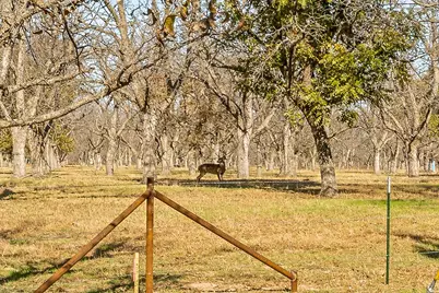 9617 Ravenswood Road, Granbury, TX 76049 - Photo 32