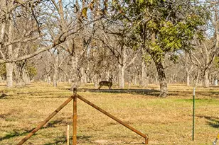 9617 Ravenswood Rd, Granbury, TX 76049 - Photo 32