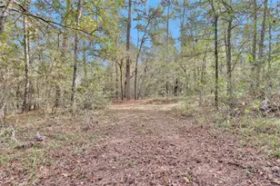 7415 Honea Egypt, Montgomery, TX 77316 - Photo 42