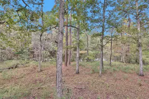 7415 Honea Egypt, Montgomery, TX 77316 - Photo 30