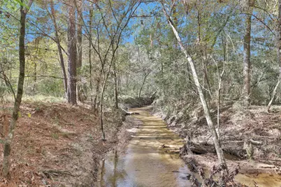 7415 Honea Egypt, Montgomery, TX 77316 - Photo 44