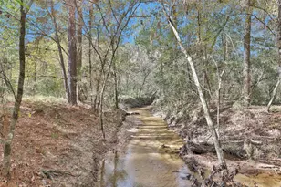 7415 Honea Egypt, Montgomery, TX 77316 - Photo 44