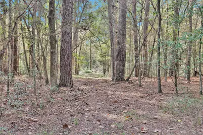 7415 Honea Egypt, Montgomery, TX 77316 - Photo 8