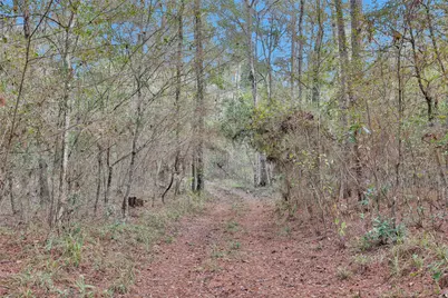 7415 Honea Egypt, Montgomery, TX 77316 - Photo 18