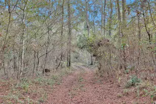 7415 Honea Egypt, Montgomery, TX 77316 - Photo 18