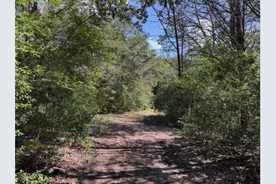 13115 Schoenemann Road, Carmine, TX 78932 - Photo 8