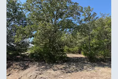 13115 Schoenemann Road, Carmine, TX 78932 - Photo 10
