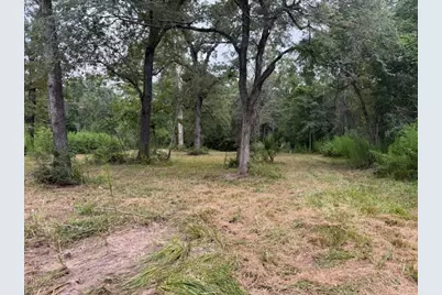 25571 Kimbro Road, Hockley, TX 77447 - Photo 6