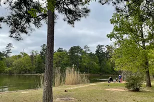 19576 Stripe Hl Bnd, Montgomery, TX 77316 - Photo 38