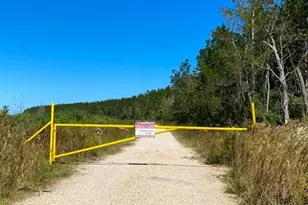 000000000000 N Gate Road North Of Hwy 90, Daisetta, TX 77533 - Photo 1