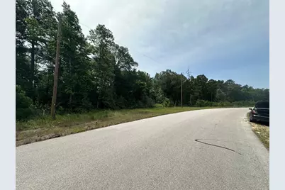 7-23-70 Sky Oak Lane, Huntsville, TX 77340 - Photo 4