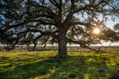 Tbd Pleasant Hill School Road, Brenham, TX 77833 - Photo 2