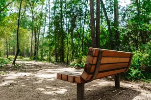 16838 Williams Gully Trl, Humble, TX 77346 - Photo 24