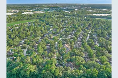 119 N Rambling Ridge Place, The Woodlands, TX 77385 - Photo 48