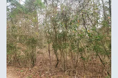 Lot 8 Yupon Lane, Plantersville, TX 77363 - Photo 6