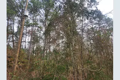 Lot 8 Yupon Lane, Plantersville, TX 77363 - Photo 4