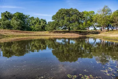 Tract 6 - 8145 Fm 390 E, Brenham, TX 77833 - Photo 28