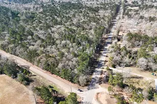 Tbd County Line Rd Parcel 1, Willis, TX 77318 - Photo 2