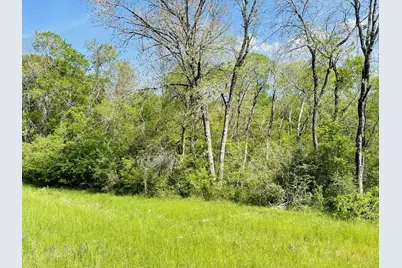 0000 Fm 1791, Huntsville, TX 77340 - Photo 4