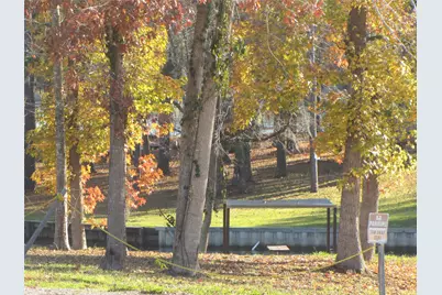 Tbd Vine Arbor, Livingston, TX 77351 - Photo 10