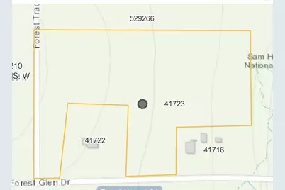 Tbd Forest Trace Road, Richards, TX 77873 - Photo 6