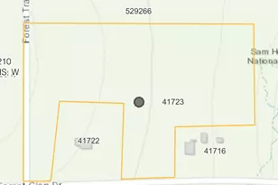 Tbd Forest Trace Rd, Richards, TX 77873 - Photo 6