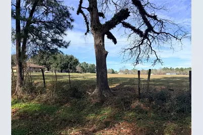 Tbd Forest Trace Road, Richards, TX 77873 - Photo 14