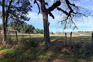 Tbd Forest Trace Rd, Richards, TX 77873 - Photo 14
