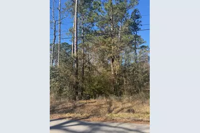 Tbd Sycamore Drive, Montgomery, TX 77356 - Photo 6