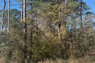 Tbd Sycamore Dr, Montgomery, TX 77356 - Photo 6