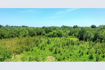 24120 & 24126 Fm 1155 East, Washington, TX 77880 - Photo 14