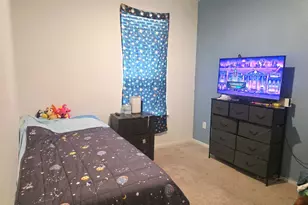 17806 Juneberry Seed St, Hockley, TX 77447 - Photo 12