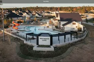 12195 Ridge Top Dr, Conroe, TX 77304 - Photo 24