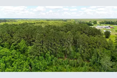 Tbd Private Road 5170, Kirbyville, TX 75956 - Photo 14