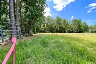 14109 Horseshoe Bend, Conroe, TX 77384 - Photo 4