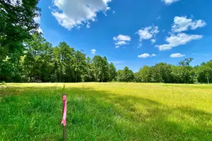 14109 Horseshoe Bend, Conroe, TX 77384 - Photo 2