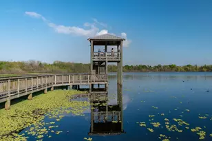 707 Montclair Blvd, Sugar Land, TX 77478 - Photo 50